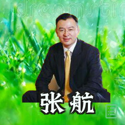 张航